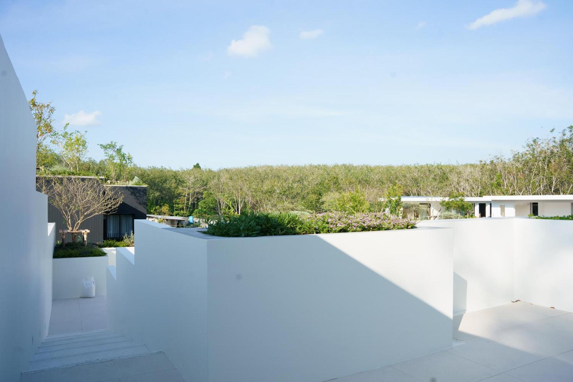 Tree O'Clock Pool Villa - Phuket 他朗 客房 照片